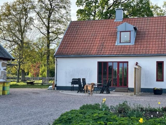 Ormanasgarden Appartamento Höör Esterno foto